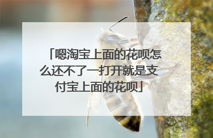 嗯淘宝上面的花呗怎么还不了一打开就是支付宝上面的花呗