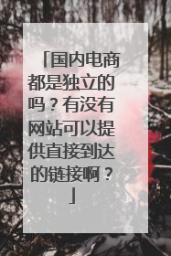 国内电商都是独立的吗?有没有网站可以提供直接到达的链接啊?