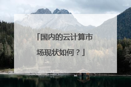 国内的云计算市场现状如何？