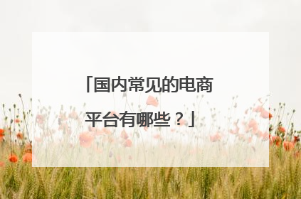 国内常见的电商平台有哪些？