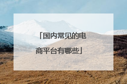 国内常见的电商平台有哪些
