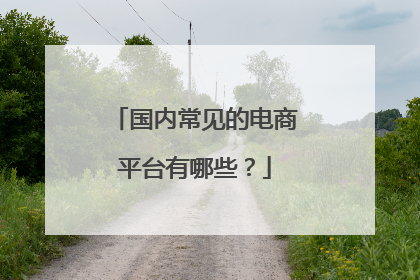 国内常见的电商平台有哪些?