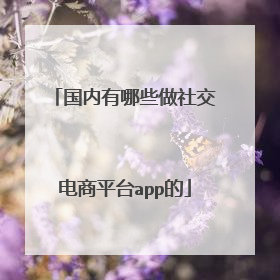 国内有哪些做社交电商平台app的