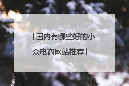 国内有哪些好的小众电商网站推荐