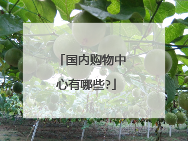 国内购物中心有哪些?