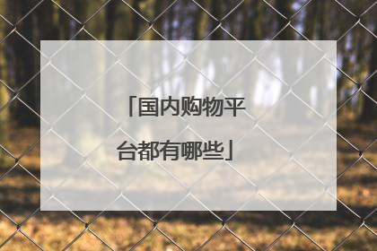 国内购物平台都有哪些