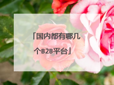 国内都有哪几个B2B平台