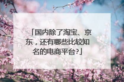 国内除了淘宝、京东，还有哪些比较知名的电商平台?