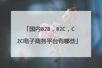 国内B2B，B2C，C2C电子商务平台有哪些