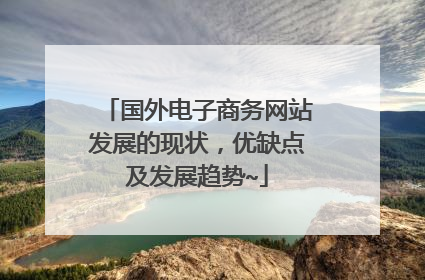 国外电子商务网站发展的现状,优缺点及发展趋势~
