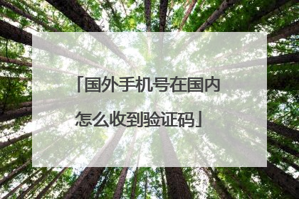 国外手机号在国内怎么收到验证码