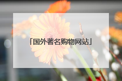 国外著名购物网站