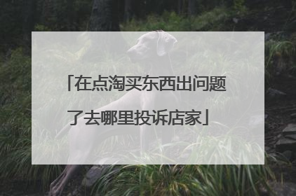 在点淘买东西出问题了去哪里投诉店家