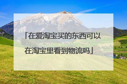 在爱淘宝买的东西可以在淘宝里看到物流吗