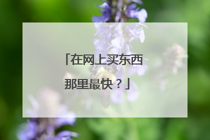 在网上买东西那里最快?