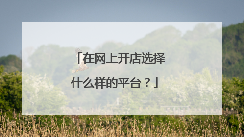 在网上开店选择什么样的平台?