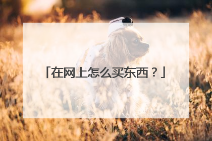 在网上怎么买东西?