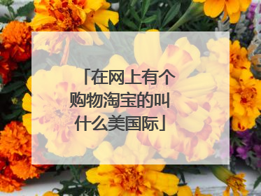 在网上有个购物淘宝的叫什么美国际