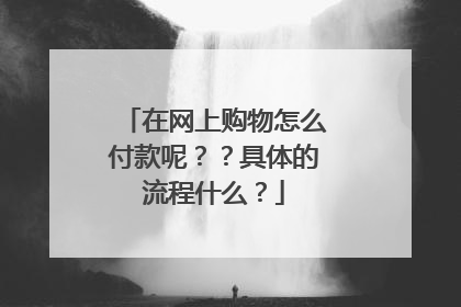 在网上购物怎么付款呢？？具体的流程什么？