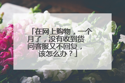 在网上购物,一个月了,没有收到货 问客服又不回复, 该怎么办?