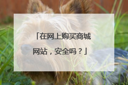 在网上购买商城网站,安全吗?
