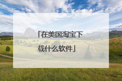 在美国淘宝下载什么软件