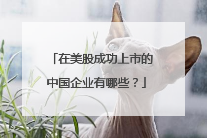 在美股成功上市的中国企业有哪些？