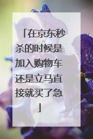 在京东秒杀的时候是加入购物车还是立马直接就买了急