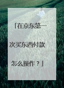 在京东第一次买东西付款怎么操作?