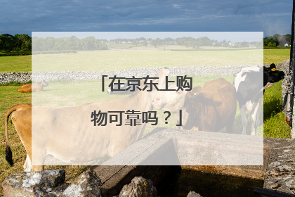 在京东上购物可靠吗?