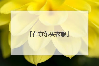 在京东买衣服