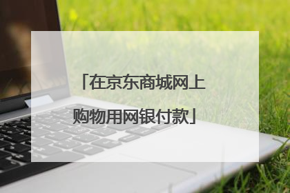 在京东商城网上购物用网银付款
