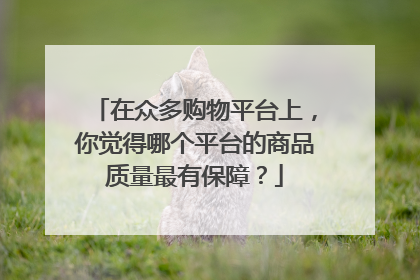在众多购物平台上,你觉得哪个平台的商品质量最有保障?