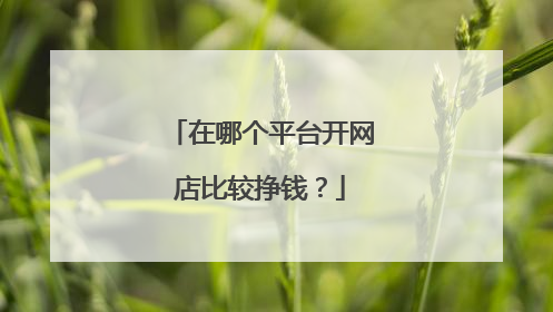 在哪个平台开网店比较挣钱?