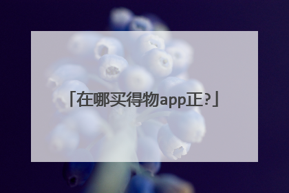 在哪买得物app正?