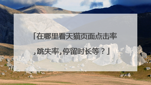 在哪里看天猫页面点击率,跳失率,停留时长等？