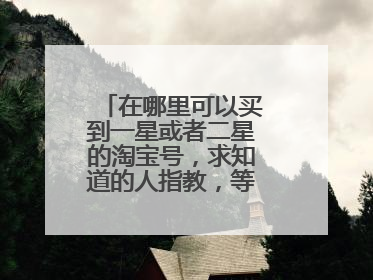 在哪里可以买到一星或者二星的淘宝号，求知道的人指教，等级高的也可