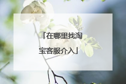 在哪里找淘宝客服介入