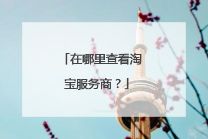 在哪里查看淘宝服务商?