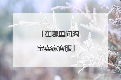 在哪里问淘宝卖家客服