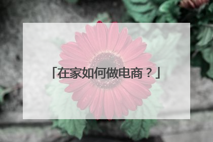 在家如何做电商?