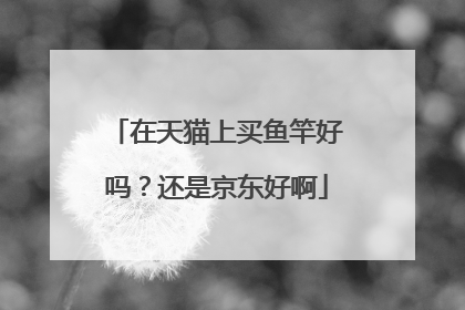 在天猫上买鱼竿好吗?还是京东好啊