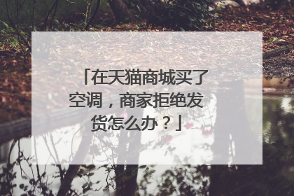 在天猫商城买了空调,商家拒绝发货怎么办?