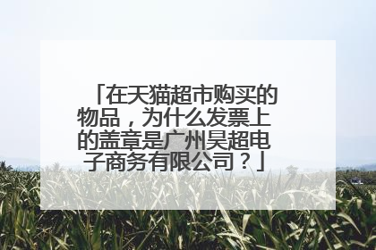 在天猫超市购买的物品,为什么发票上的盖章是广州昊超电子商务有限公司?