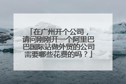 在广州开个公司, 请问刚刚开一个阿里巴巴国际站做外贸的公司需要哪些花费的吗?