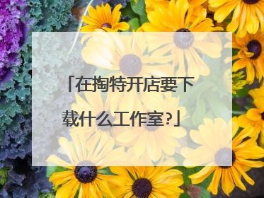 在掏特开店要下载什么工作室?