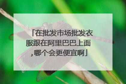 在批发市场批发衣服跟在阿里巴巴上面,哪个会更便宜啊