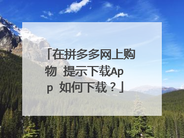 在拼多多网上购物 提示下载App 如何下载?
