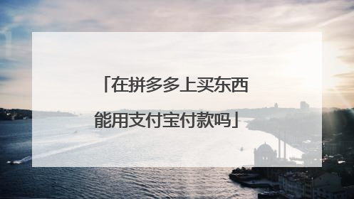 在拼多多上买东西能用支付宝付款吗