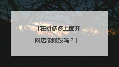 在拼多多上面开网店能赚钱吗?